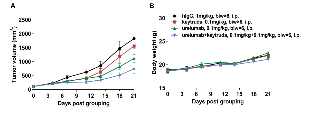 B-hPD-1/h4-1BB Mice|BioMice｜Biocytogen